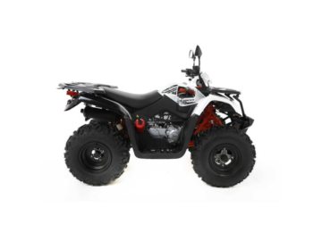 KAYO ATV AU200 T3B 000800 HOMOLOGACJA