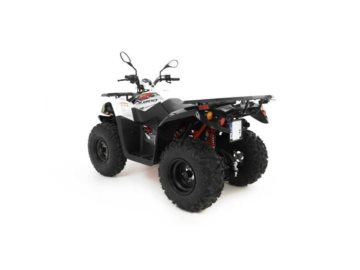 KAYO ATV AU200 T3B 000800 HOMOLOGACJA